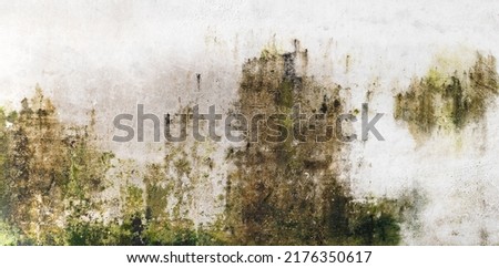 Closeup cement wall with moss Stock foto © 
