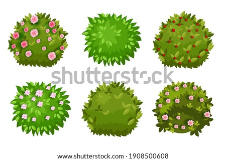 Spring bush, shrub cartoon green garden hedge collection with green leaves, flower blossom, berries. Summer landscape nature cartoon objects isolated on white. Spring round bush plants floral icons