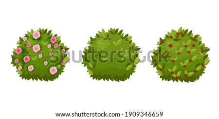 Spring bush, shrub green garden cartoon hedge set with green leaves, flower blossom,berries. Summer landscape nature cartoon objects collection isolated on white. Spring round bush plants floral icons