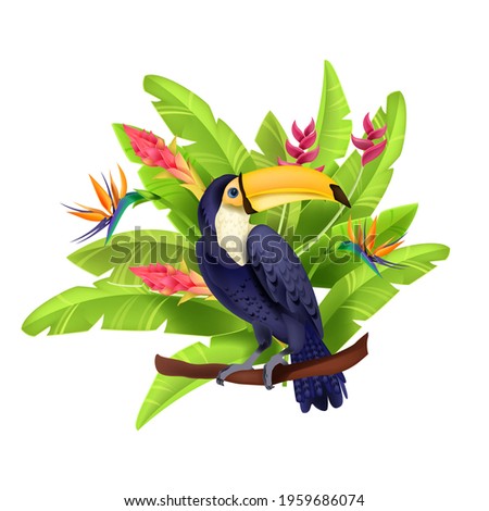 Toucan vector illustration, exotic tropical bird, banana leaves, paradise flowers, beak, purple feather. Amazon wildlife summer nature clipart, branch, Brazil parrot. Floral toucan vector concept