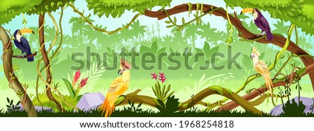 Jungle forest vector nature background, wood exotic landscape, green liana, parrot, toucan, trees, thicket. Amazon tropical paradise environment, summer illustration. Jungle forest horizontal banner