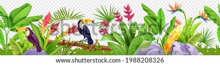 Jungle floral seamless border, vector tropical exotic nature background, toucan, parrot, paradise flower. Rainforest garden frame, stone, green banana leaf, log. Hawaii jungle border, foliage, birds