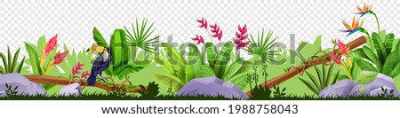 Jungle floral border, vector tropical nature illustration, toucan, green grass, leaves, stone, exotic flowers. Summer rainforest frame, lush foliage, amazon wildlife. Hawaii jungle border, garden bush