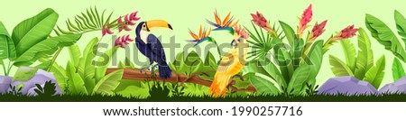 Summer jungle seamless border, vector tropical nature background, toucan, parrot, exotic plants, flowers. Paradise garden frame, Hawaii rainforest floral illustration. Jungle border, stone, grass