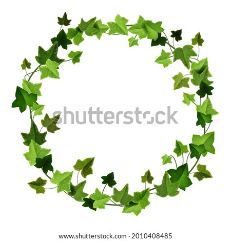 Green ivy circle frame, climbing vine vector wreath, liana floral garden border isolated on white. Nature foliage creeper illustration, spring realistic branch. Wedding ivy decoration frame clipart