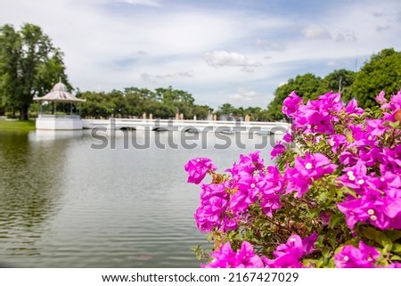 the closeup image of flower, the bokeh background is the doll's bridge in Bang Pa-In Palace Ayutthaya Thailand. 
King Prasat Thong constructed the original complex in 1632.  Foto stock © 