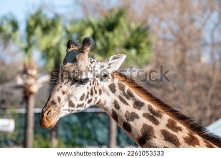 Similar – Image, Stock Photo big blotch like a speech bubble on the front of a house