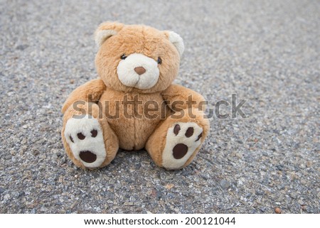 A cute brown teddy bear isolated