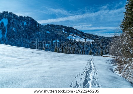 Similar – Image, Stock Photo Snowy hiking trail with legs