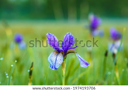 Shutterstock Puzzlepix Shutterstock Puzzlepix