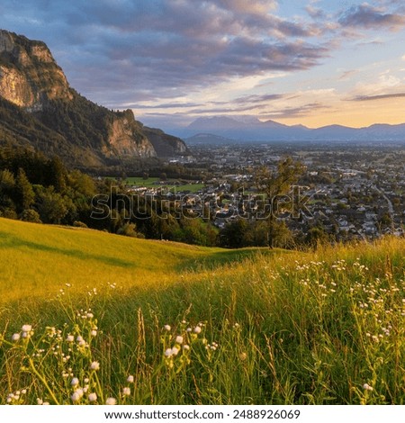 Similar – Image, Stock Photo Last lights after a long celebration