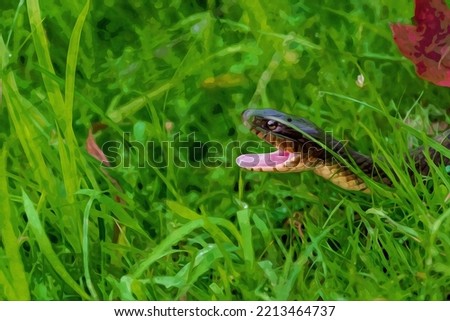 Digitally created watercolor painting of a plain-bellied water snake with mouth wide open