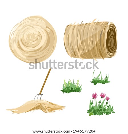 Dry hay and green grass for pets. Isolated elements on a white background