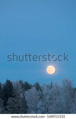 Full moon over frost covered forest