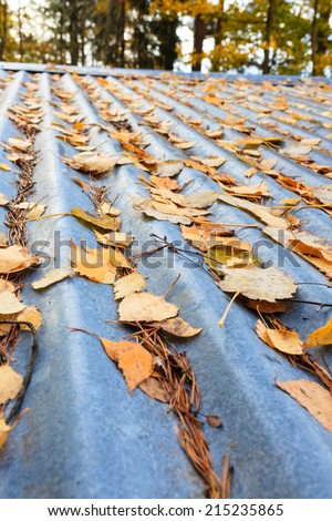 Autumn leaves on roof