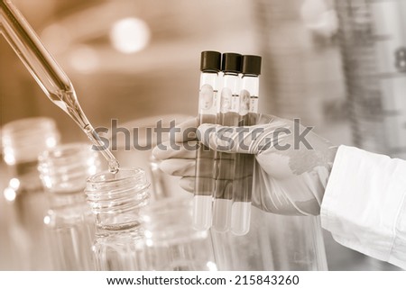 Gloved hand hold the test tubes in laboratory room.