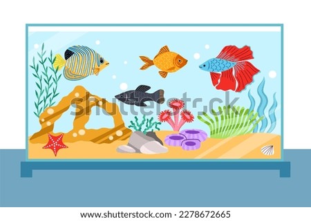 Similar – Foto Bild fishbowl Aquarium Tier