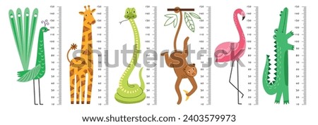 Decorative funny growth rulers. Kids height measurement, comic cartoon animals characters, cute high flamingo, monkey, peacock, vector set.eps
