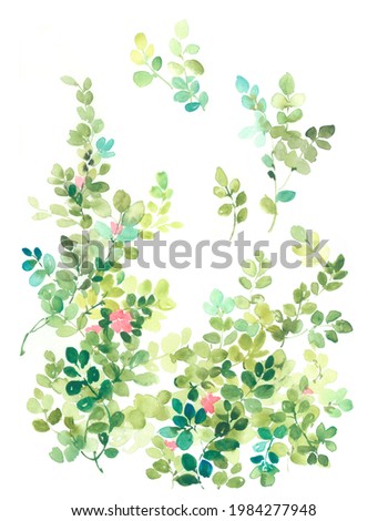 Flowers watercolor illustration.Manual composition.Big Set watercolor elements，Design for textile, wallpapers，Element for design,Greeting card Foto stock © 