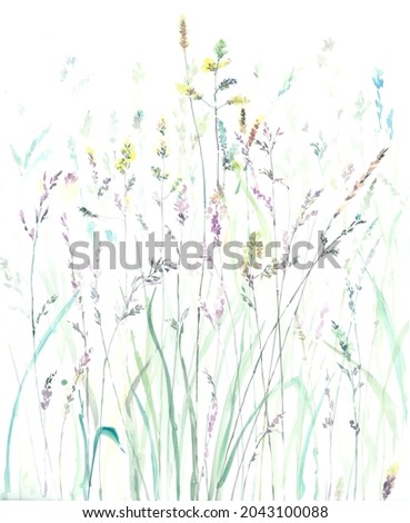 Flowers watercolor illustration.Manual composition.Big Set watercolor elements，Design for textile, wallpapers，Element for design,Greeting card Foto stock © 