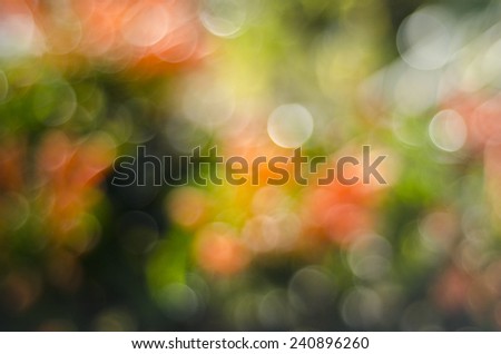 Blurred flower background, Defocused flower abstract background.