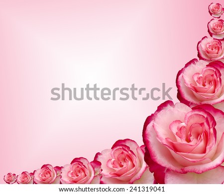 Damask rose frame isolated on white background,Flower bouquet with free space for text.