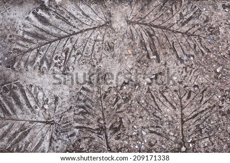Leaf on cement texture background