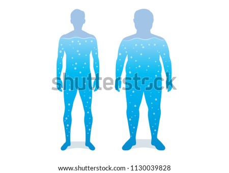 Water in difference body between shapely man and fat. Illustration about anatomy compare.