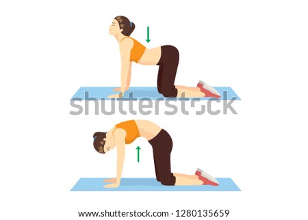 Woman doing Cat Cow Workout in 2 step to stretch the back and promote spinal flexibility. Illustration about exercise guide.