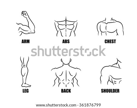 Symbol element of strong muscles in body part of people when pass fitness.