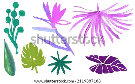 A set of stylized tropical leaves in pink shades and a flower of the Royal Strelitzia painted in gouache isolated on a white background for textile and design Foto d'archivio © 