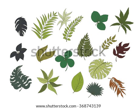 hand drawn tropical leaves collection isolate vector 368743139