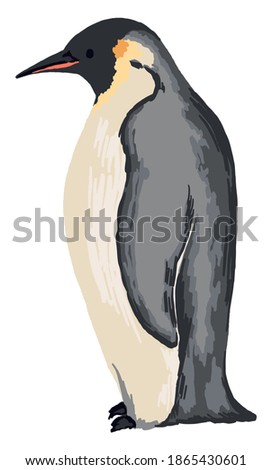 Emperor penguin. Hand drawn vector animal illustration. Realistic colored drawing of wild bird. Cartoon picture isolated on white. Single element for design, print, card, decor, sticker, typography.