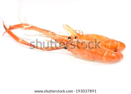 Grilled shrimp isolated on a white background