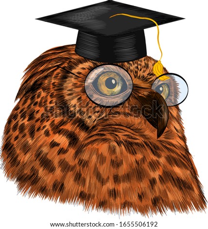 smart owl in black graduate hat and glasses University College school symbol  realistic brown yellow eyes barcode vector illustration