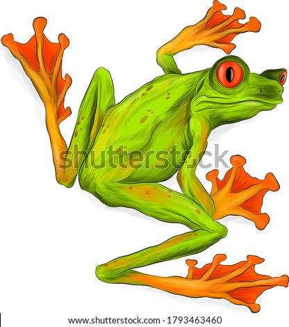Frog vectors free download 284 editable .ai .eps .svg .cdr files