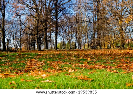 Park in the autumn, it is taken off from the bottom point, the foreground is washed away for prospect
