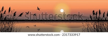 Similar – Image, Stock Photo Reed in the evening backlight on the banks of the Warnow