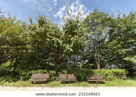 three benches in the forest in the seoul forest.