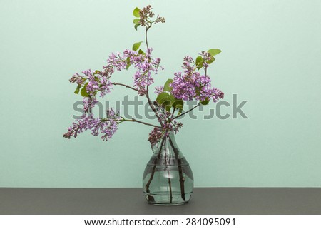 A purple(pink) flowers with glass vase and water on the grey paper bottom, emerald green background at the studio.