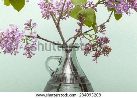 A purple(pink) flowers with glass vase and water on the grey paper bottom, emerald green background at the studio.