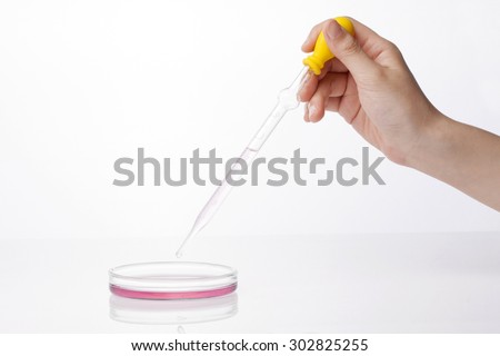 A woman(scientist) hand hold a spuit(dropping pipet, pipette, medicine dropper) dropping to schale(petri dish) with red(magenta) liquid(fluid) for Internal medicine at the laboratory isolated white.