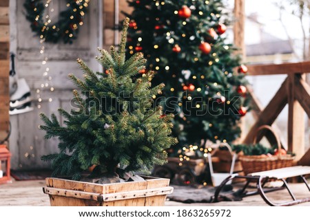 Similar – Image, Stock Photo Christmas tree in pot, watercolour on paper