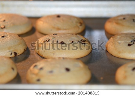 home made chocolate chip cookies baking in a hot oven half done still rising