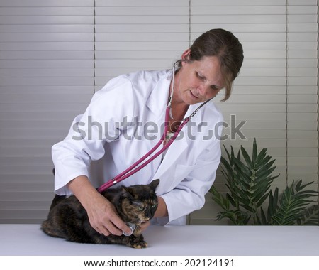 Female Tortoiseshell Tabby Cat being examined by a caring female veterinarian on exam table