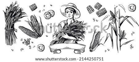 A farmer woman in a hat holds corn in her hands. Great for logo and packaging. Corn grains and cobs. Isolated headpiece. The illustration is hand drawn.