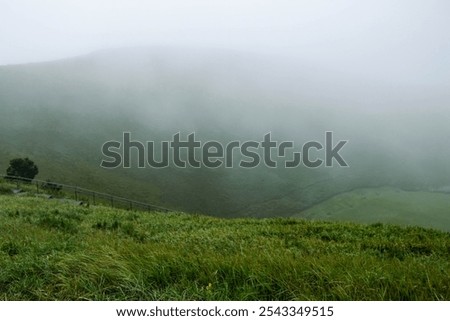 Similar – Image, Stock Photo Foggy day on the dike in Friesland