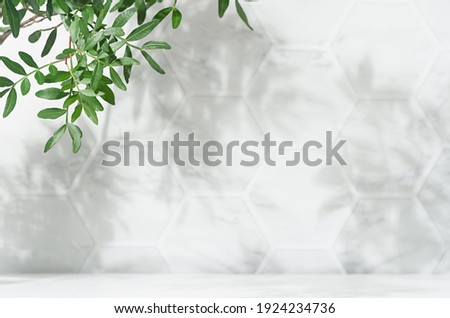 Spring sunlight in green branch of tree with shadow on white marble tile wall,  wood table, copy space.