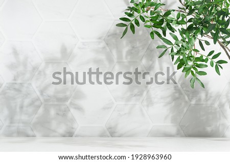 Fresh spring green leaves on branch in sunlight with shadow on white marble tile wall, wood table, copy space.