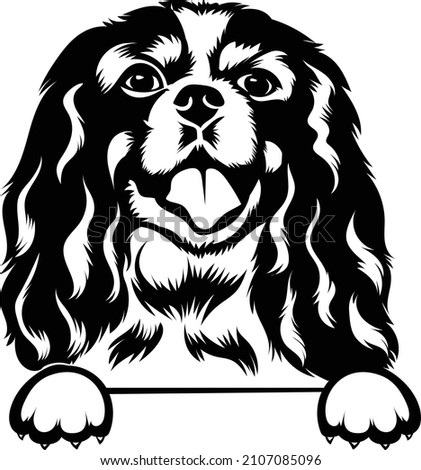 Cavalier King Charles Dog Vector Image Silhouette Photo stock © 